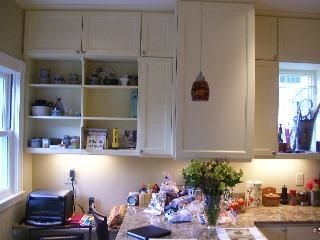 Kitchen Remodeling in Cambridge, MA (5)